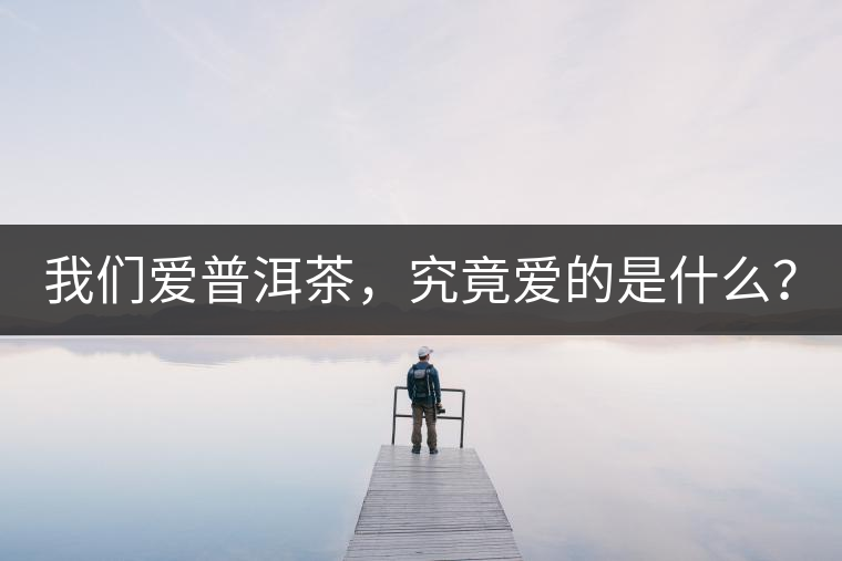 我們愛普洱茶，究竟愛的是什么？