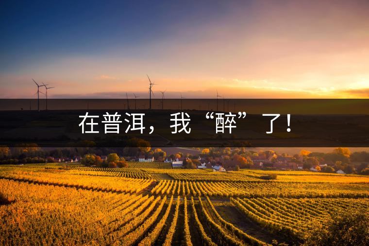 在普洱，我“醉”了！