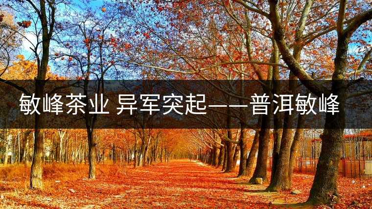 敏峰茶業(yè) 異軍突起——普洱敏峰茶業(yè)有限公司紀實 敏峰茶業(yè) 異軍突起——普洱敏峰茶業(yè)有限公司紀實