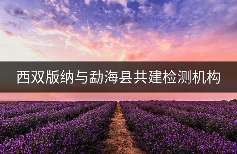 西雙版納與勐?？h共建檢測(cè)機(jī)構(gòu)