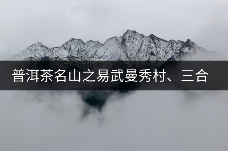 普洱茶名山之易武曼秀村、三合社村