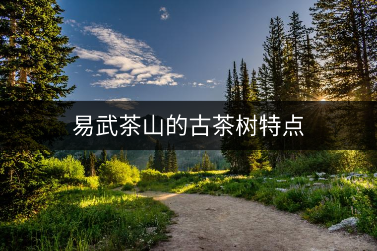 易武茶山的古茶樹特點(diǎn) 易武茶山的古茶樹特點(diǎn)