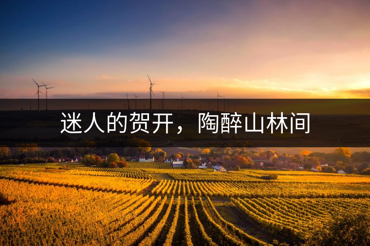 迷人的賀開，陶醉山林間