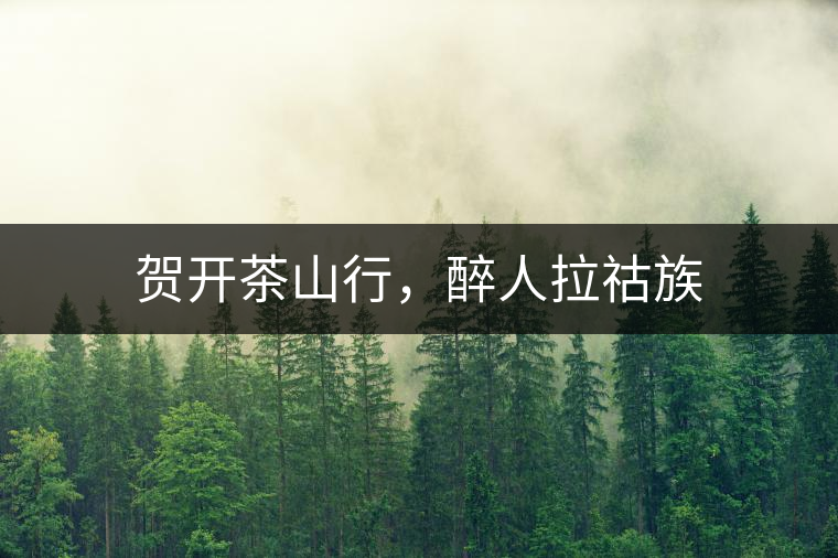 賀開茶山行，醉人拉祜族