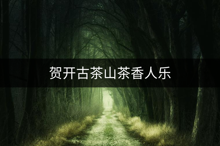 賀開古茶山茶香人樂(lè)
