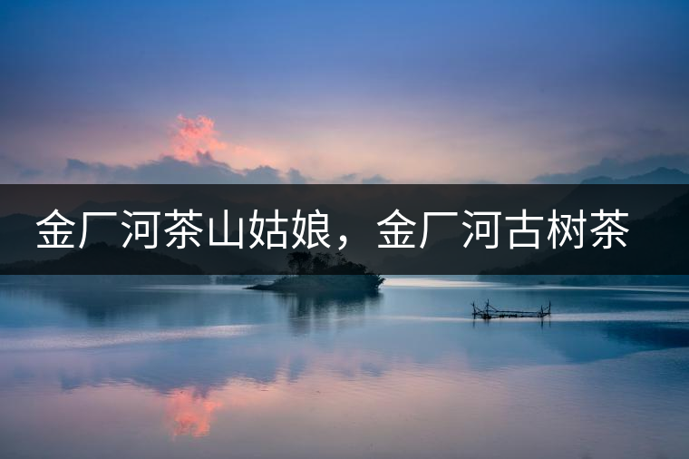 金廠河茶山姑娘，金廠河古樹茶特點與價格
