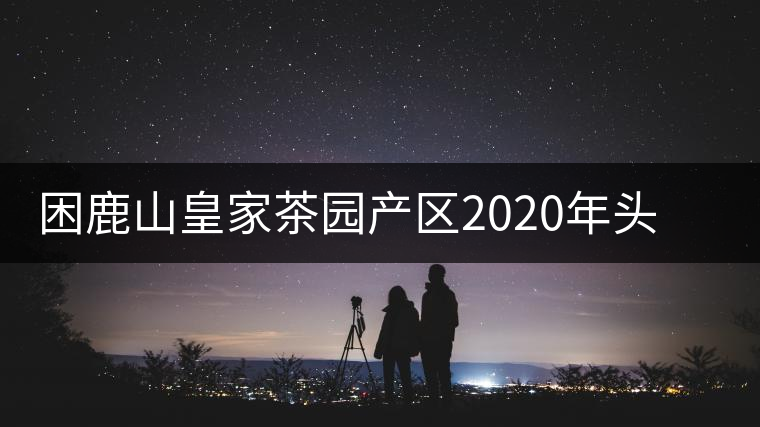 困鹿山皇家茶園產(chǎn)區(qū)2020年頭春古樹，白花林口感特點