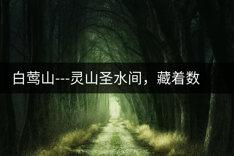 白鶯山---靈山圣水間，藏著數(shù)不盡的佛茶佳話(huà)