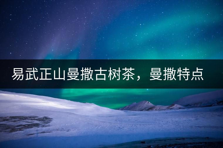 易武正山曼撒古樹茶，曼撒特點分享介紹