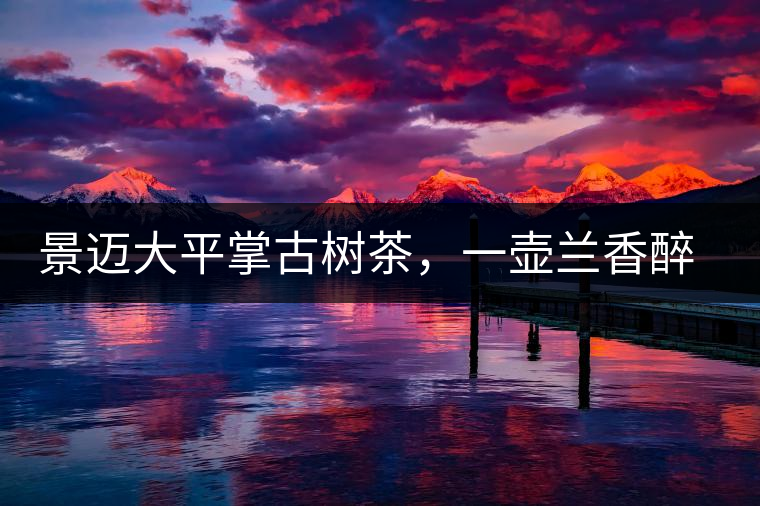 景邁大平掌古樹茶，一壺蘭香醉春秋