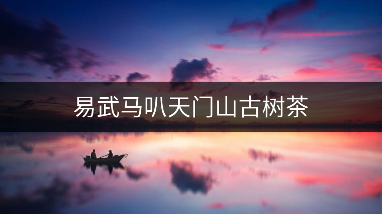 易武馬叭天門(mén)山古樹(shù)茶