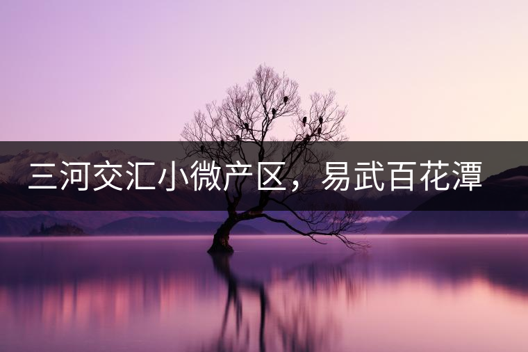 三河交匯小微產(chǎn)區(qū)，易武百花潭古茶園介紹