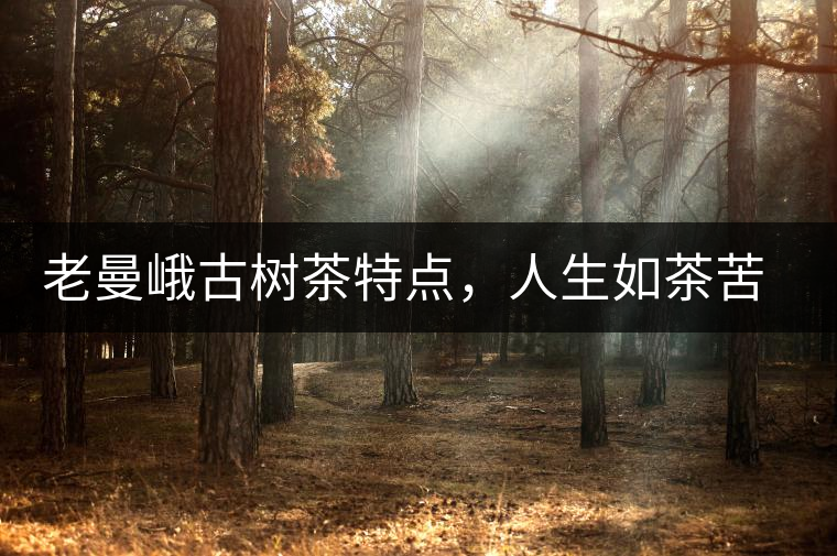 老曼峨古樹茶特點(diǎn)，人生如茶苦盡甘來