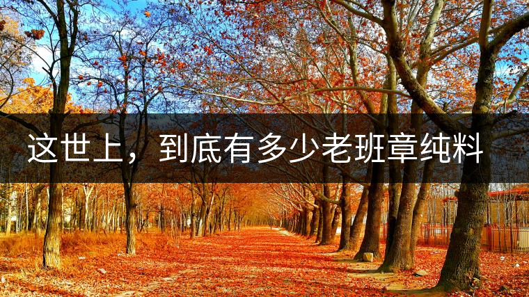 這世上，到底有多少老班章純料古樹茶