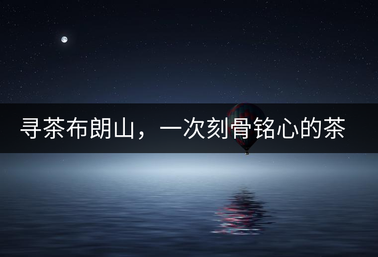 尋茶布朗山，一次刻骨銘心的茶山行