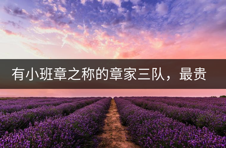 有小班章之稱(chēng)的章家三隊(duì)，最貴的小樹(shù)茶