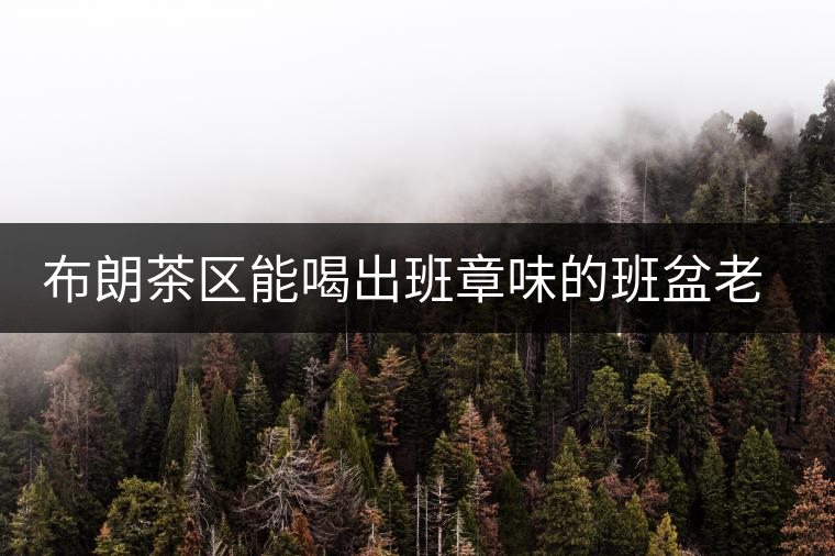 布朗茶區(qū)能喝出班章味的班盆老寨你知道嗎？