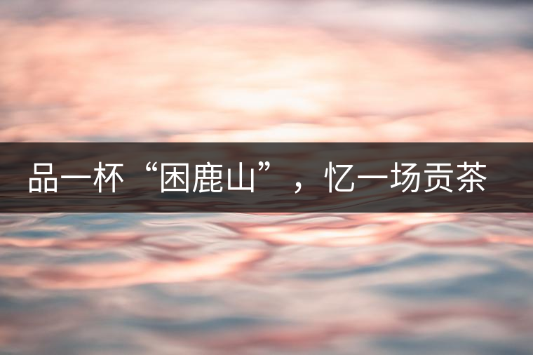 品一杯“困鹿山”，憶一場(chǎng)貢茶情