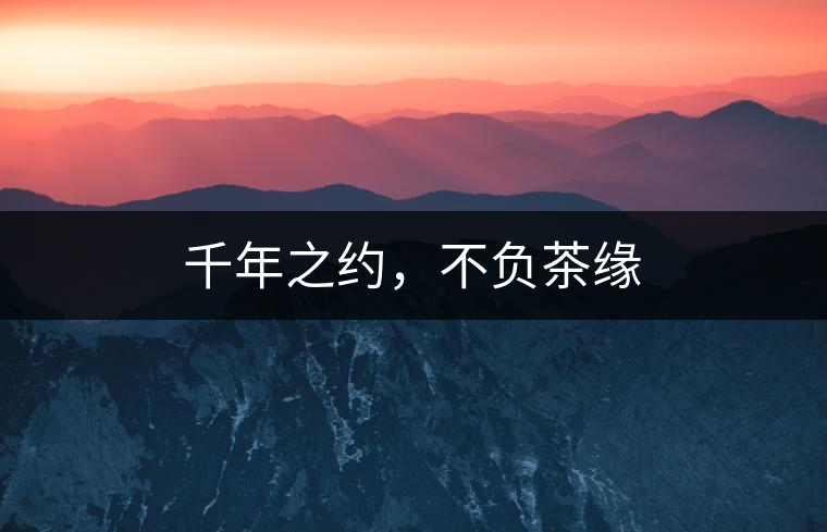千年之約，不負茶緣