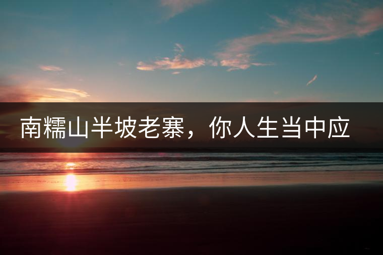 南糯山半坡老寨，你人生當(dāng)中應(yīng)該入手的第一片勐海味古樹(shù)純料普洱茶