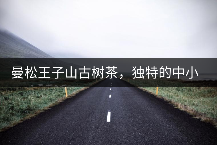 曼松王子山古樹茶，獨特的中小葉種珍品貢茶