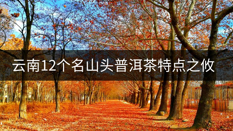 云南12個名山頭普洱茶特點(diǎn)之攸樂篇 云南12個名山頭普洱茶特點(diǎn)之攸樂篇