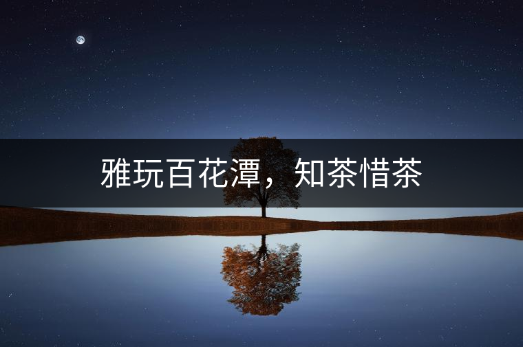 雅玩百花潭，知茶惜茶