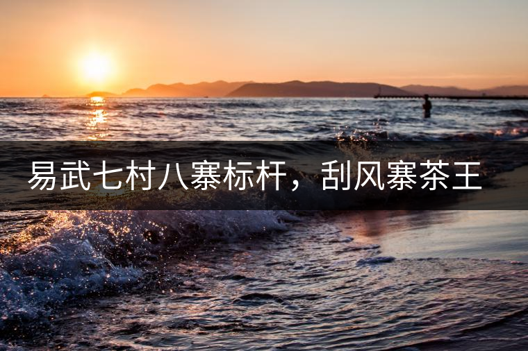 易武七村八寨標(biāo)桿，刮風(fēng)寨茶王樹介紹