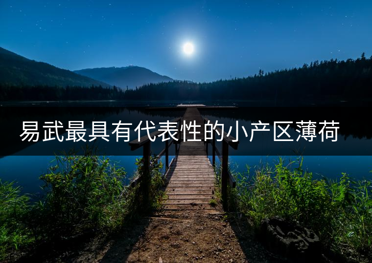 易武最具有代表性的小產(chǎn)區(qū)薄荷塘，一滴都不舍得浪費(fèi)