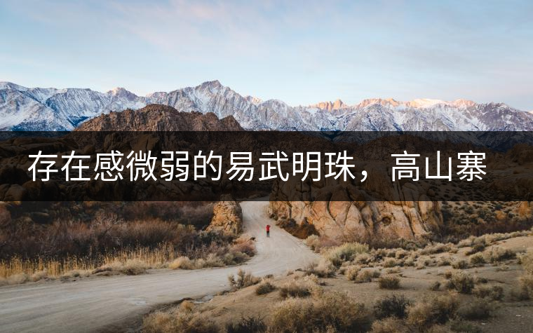 存在感微弱的易武明珠，高山寨古樹茶介紹