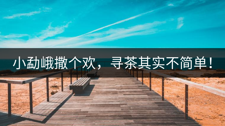 小勐峨撒個(gè)歡，尋茶其實(shí)不簡(jiǎn)單！