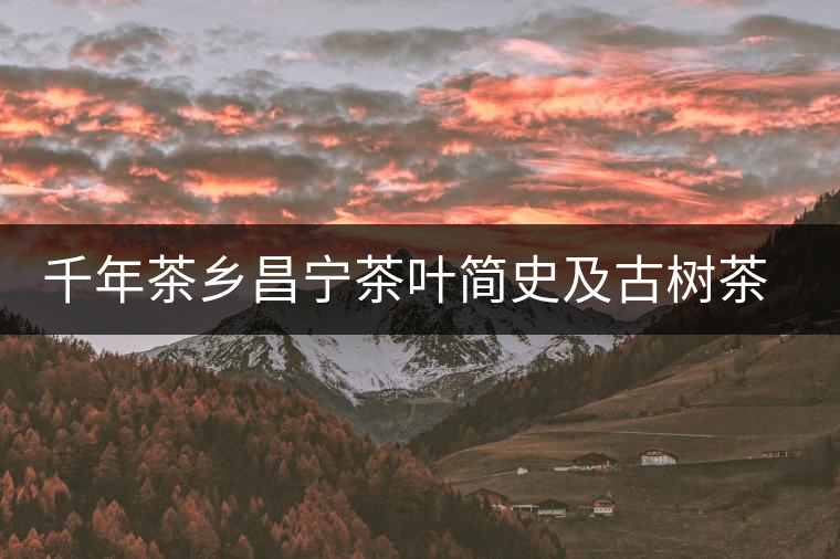 千年茶鄉(xiāng)昌寧茶葉簡(jiǎn)史及古樹(shù)茶資源優(yōu)勢(shì) 千年茶鄉(xiāng)昌寧茶葉簡(jiǎn)史及古樹(shù)茶資源優(yōu)勢(shì)