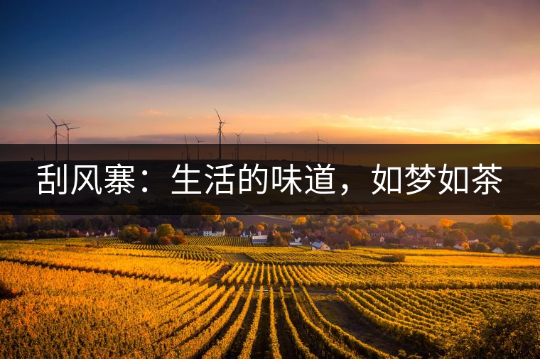 刮風(fēng)寨：生活的味道，如夢(mèng)如茶