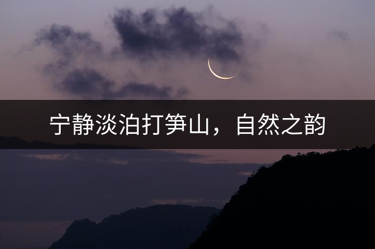 寧靜淡泊打筍山，自然之韻