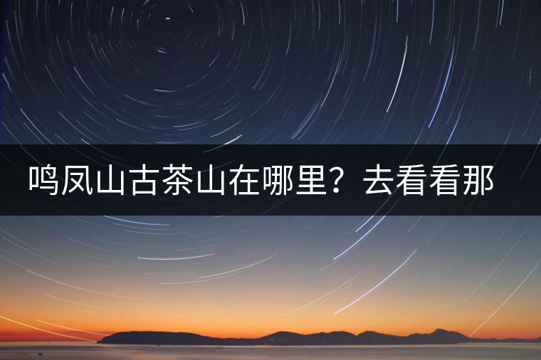 鳴鳳山古茶山在哪里？去看看那鳳凰曾經(jīng)落腳的地方