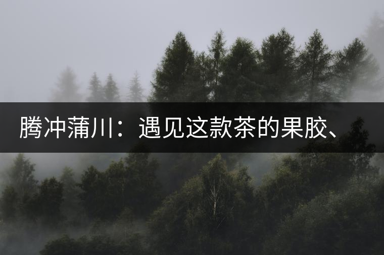 騰沖蒲川：遇見這款茶的果膠、甘甜