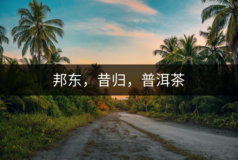 邦東，昔歸，普洱茶