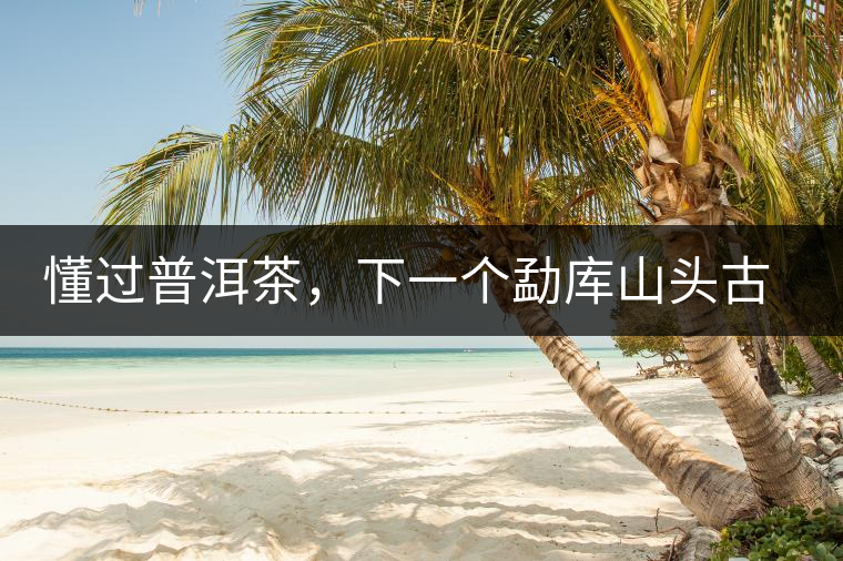 懂過普洱茶，下一個勐庫山頭古純的引爆點