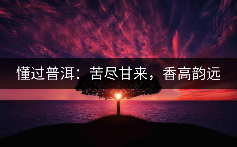 懂過普洱：苦盡甘來，香高韻遠