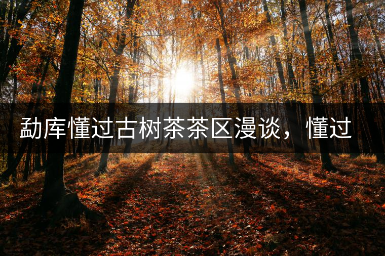 勐庫懂過古樹茶茶區(qū)漫談，懂過古樹茶的特點(diǎn)