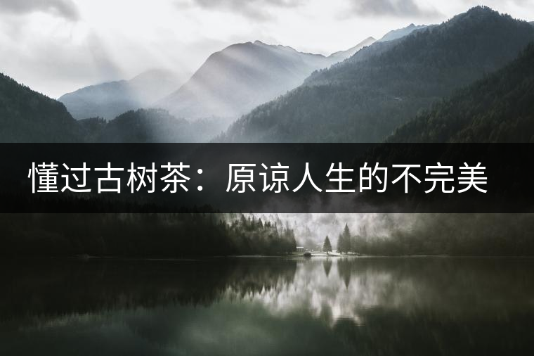 懂過(guò)古樹(shù)茶：原諒人生的不完美，多一次心靈的回歸！