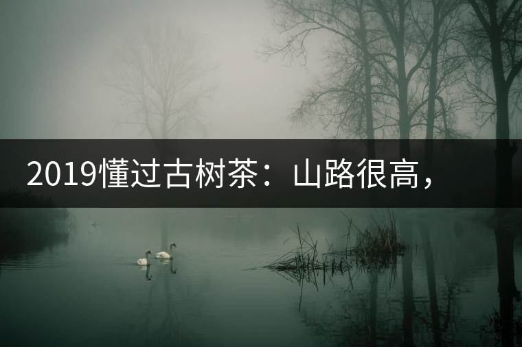 2019懂過古樹茶：山路很高，可仍然有執(zhí)著走向深山的人