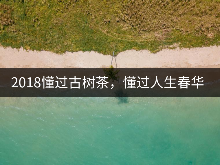 2018懂過古樹茶，懂過人生春華秋實！
