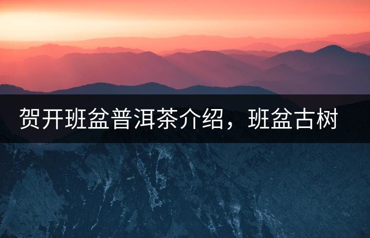 賀開班盆普洱茶介紹，班盆古樹茶口感特點(diǎn)