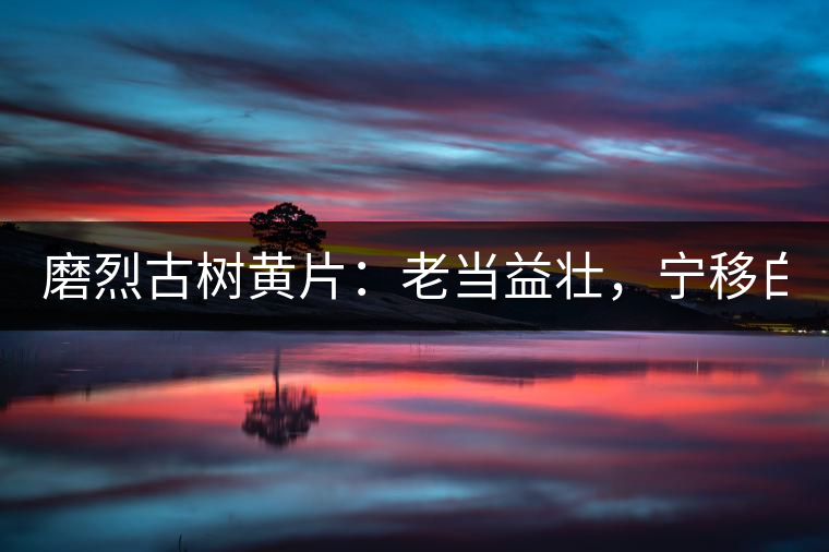 磨烈古樹黃片：老當(dāng)益壯，寧移白首之心！