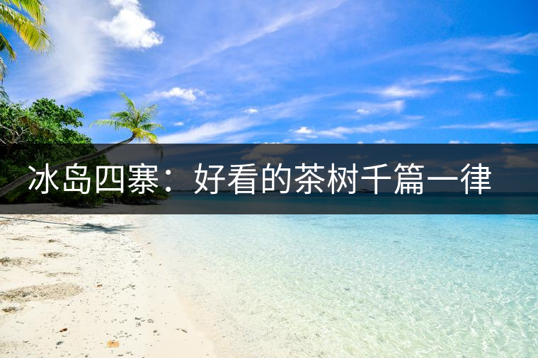 冰島四寨：好看的茶樹千篇一律，有趣的風景萬里