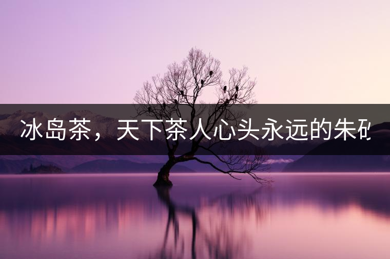 冰島茶，天下茶人心頭永遠的朱砂痣！