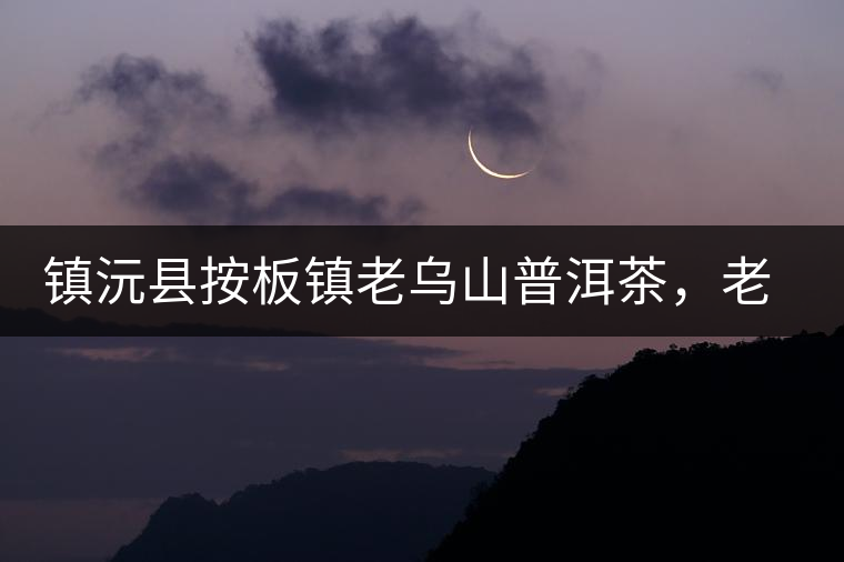 鎮(zhèn)沅縣按板鎮(zhèn)老烏山普洱茶，老烏山古樹茶口感特點