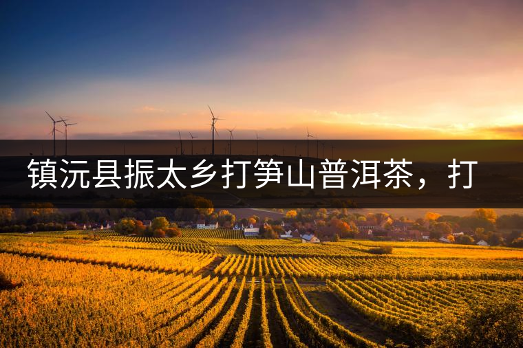 鎮(zhèn)沅縣振太鄉(xiāng)打筍山普洱茶，打筍山古樹茶口感特點(diǎn)