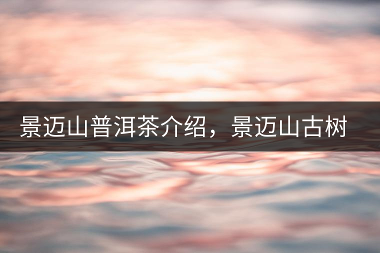 景邁山普洱茶介紹，景邁山古樹茶口感特點
